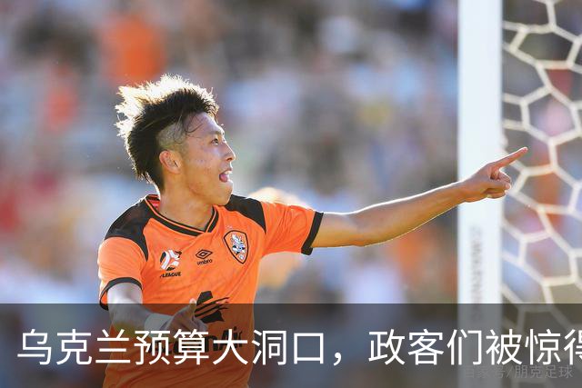 乌克兰预算大洞口，政客们被惊得“目瞪口呆”！